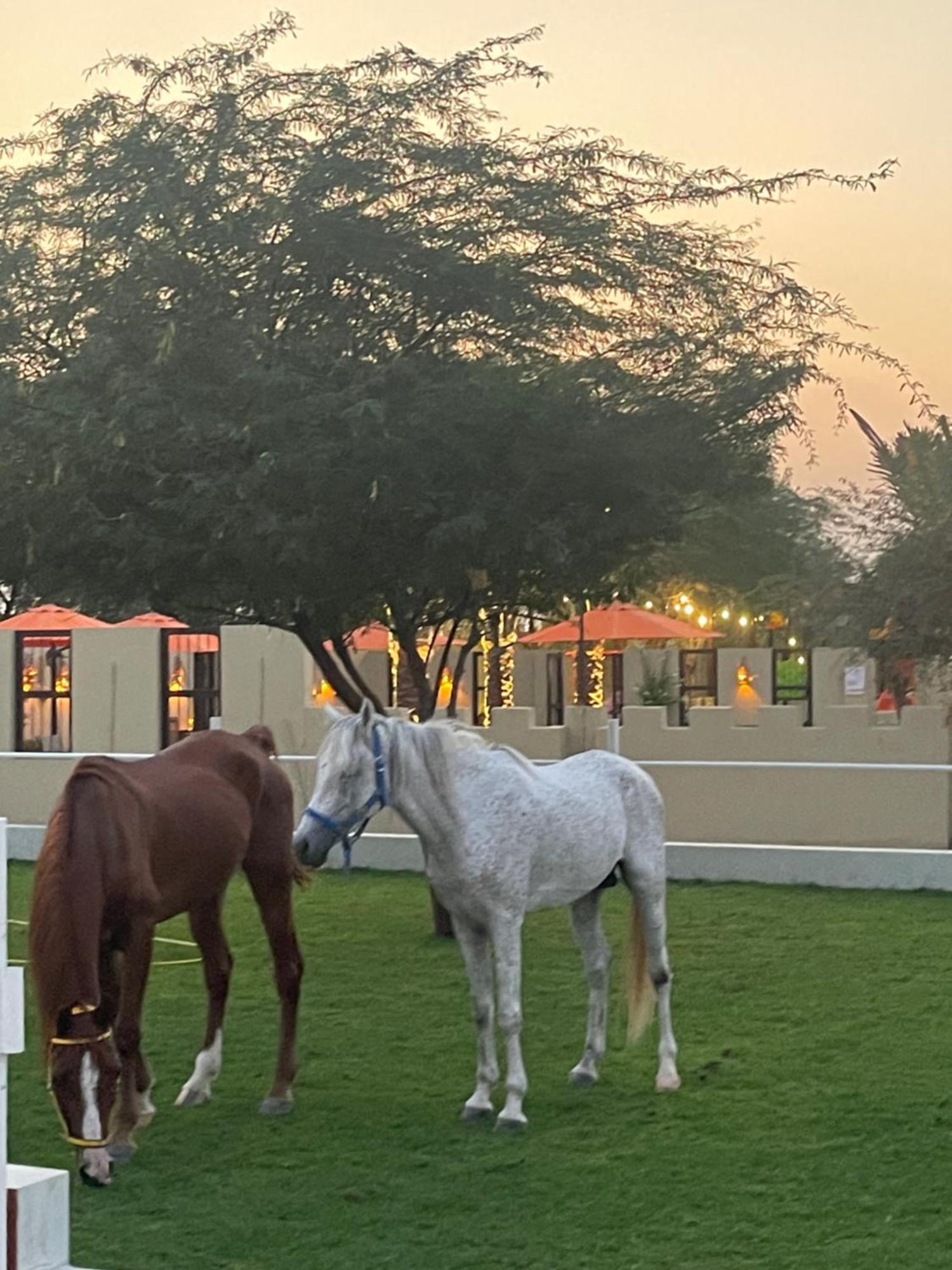 Al Bait Resort With Private Swimming Pools -Hrs Stables Al Hamraniyah Bagian luar foto